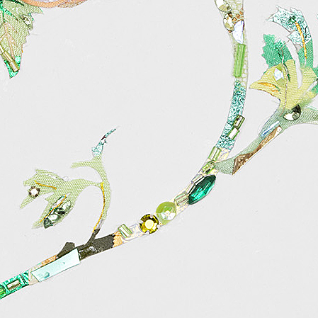 ラナンキュラス3